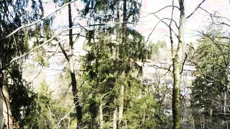 Facial In The Forest In Germany